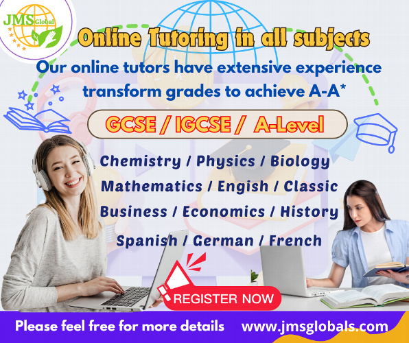 Bespoke Online Tuition by Qualified Tutor 1:1 Online tuition in all subjects
